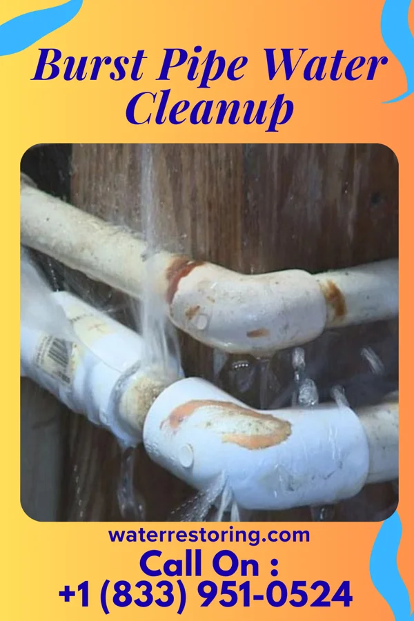 Burst Pipe Water Cleanup in Westwood, PA