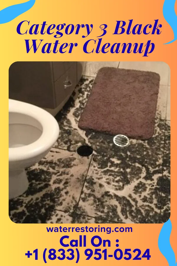 Category 3 Black Water Cleanup in Westwood, PA