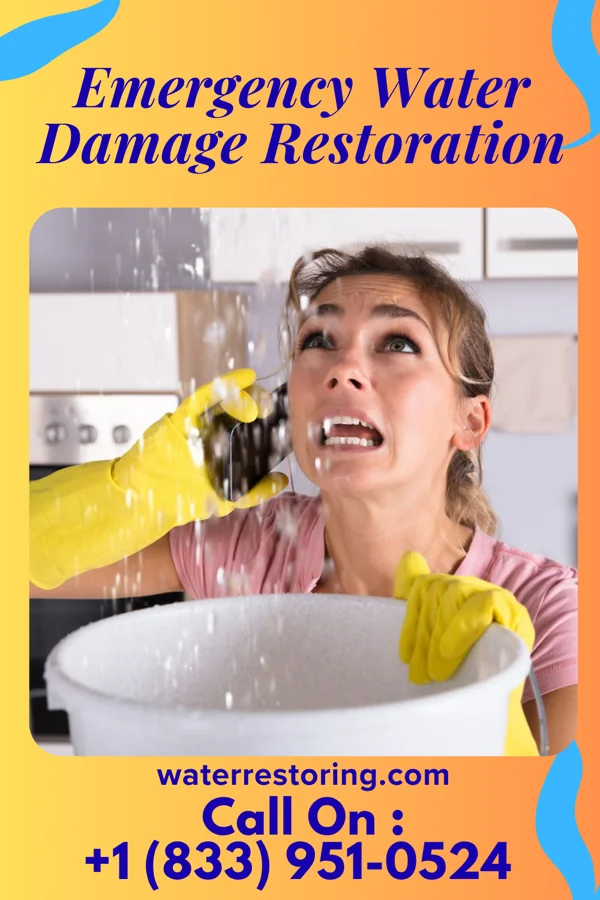 Emergency Water Damage Restoration in Westwood, PA