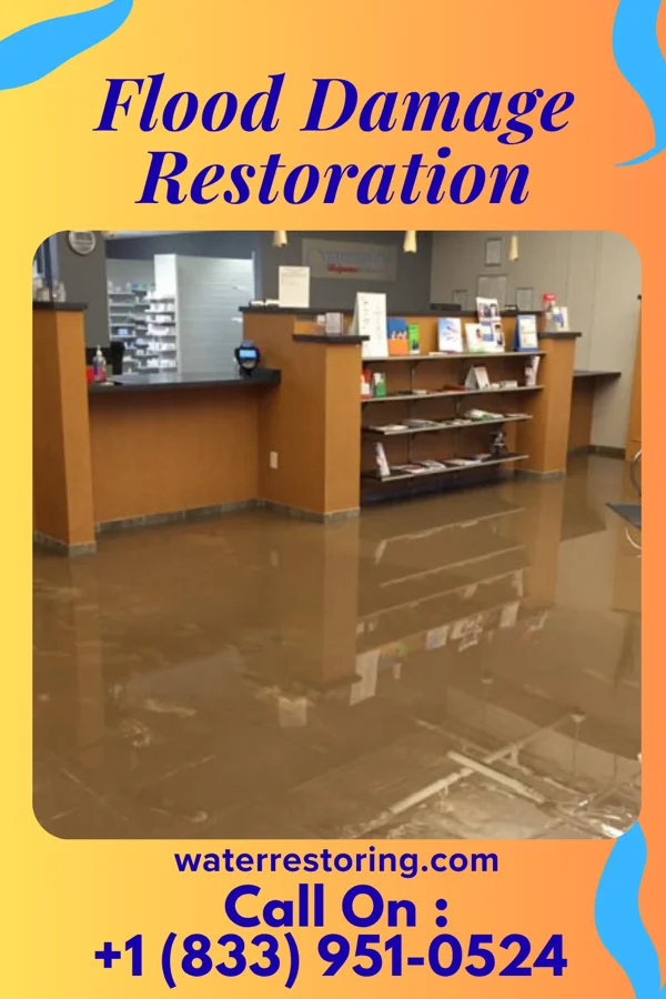 Flood Damage Restoration in Westwood, PA