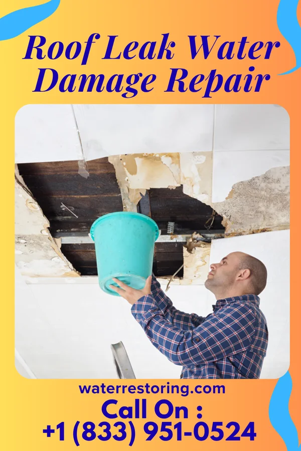 Roof Leak Water Damage Repair in Westwood, PA