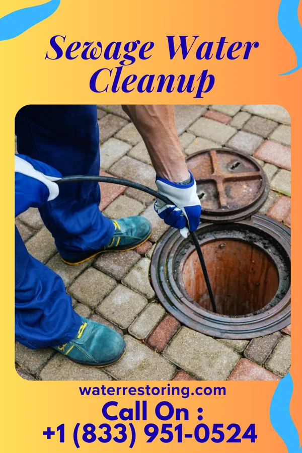 Sewage Water Cleanup in Westwood, PA