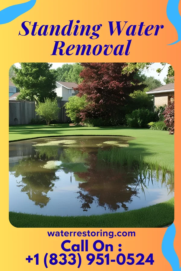 Standing Water Removal in Westwood, PA